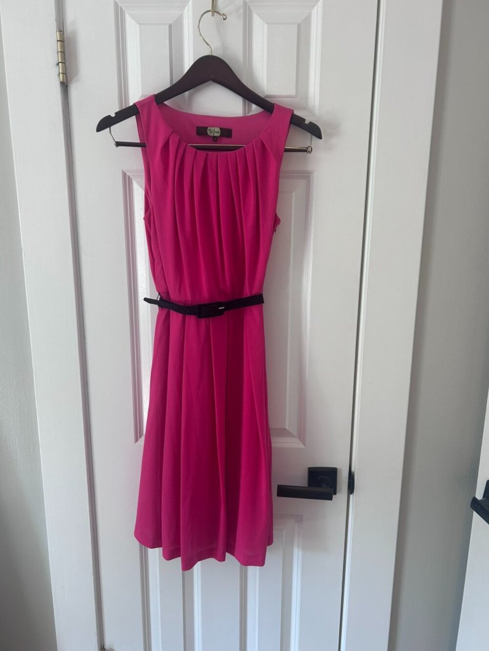 Eva Franco Anthropologie Fuchsia Pink Pleated Fit & Flare Dress w/ Belt Size 6